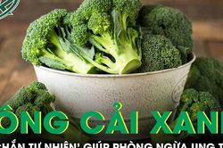 Loại rau bán đầy chợ lại rất bổ dưỡng, được ví như 'lá chắn tự nhiên' phòng ngừa ung thư