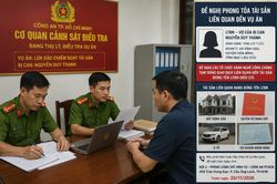 Yêu cầu phong tỏa bất động sản ở nhiều tỉnh của vợ một bị can trong vụ án lừa đảo