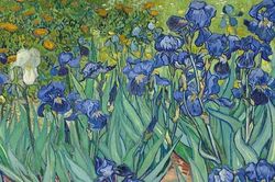 Kiệt t&aacute;c Van Gogh vẽ sau song sắt bệnh viện t&acirc;m thần