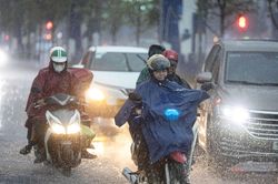 Nguy cơ dịch bệnh gia tăng trong mùa mưa phía nam