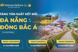 Tăng tần suất các đường bay từ Đà Nẵng đến Đông Bắc Á