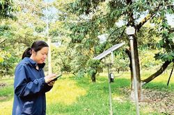 Bảo đảm mục tiêu tăng trưởng trước nguy cơ El Nino
