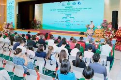 Miễn dịch trị liệu mở ra những bước tiến vượt bậc trong chẩn đoán và điều trị ung thư