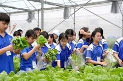 100 học sinh Thành phố Hồ Chí Minh khám phá nghề nông truyền thống, công nghệ cao
