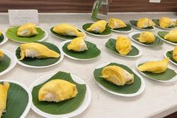 CLIP: Thưởng thức buffet sầu ri&ecirc;ng ở Cần Thơ