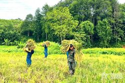 Nhiều việc làm ý nghĩa của cán bộ, chiến sĩ Bộ CHQS tỉnh Lào Cai