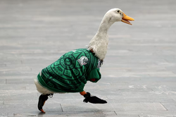 Merlin: Từ ch&uacute; vịt b&aacute;n nước &eacute;p đến 'ng&ocirc;i sao' World Cup