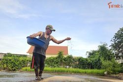 Sau mùa gặt là mùa gieo: Vòng lặp không ngơi nghỉ của nông dân và lúa mới