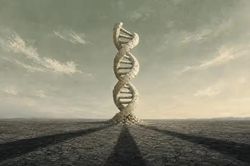 [GALLERY] OpenAI, Anthropic đổi hướng, cuộc chiến AI tỷ USD mới