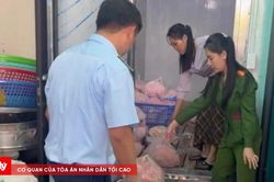 Xử phạt 14 cơ sở vi phạm an toàn thực phẩm nông, lâm, thủy sản