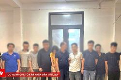 Hưng Yên: Khởi tố 15 đối tượng đánh bạc qua mạng