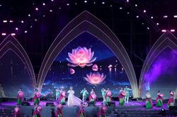 Khai mạc Lễ hội Sen H&agrave; Nội 2026: T&ocirc;n vinh vẻ đẹp văn h&oacute;a từ hoa sen