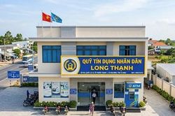 Ph&aacute;t hiện một số tồn tại trong hoạt động cho vay tại Quỹ t&iacute;n dụng nh&acirc;n d&acirc;n Long Thạnh