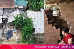 Thấp thỏm nỗi lo sạt lở bên sông Ngàn Mọ