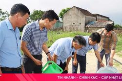 Tăng cường dập dịch sốt xuất huyết tại cửa ngõ phía Nam
