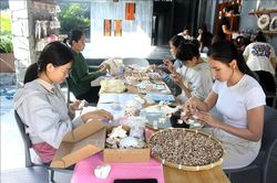 Tạo thương hiệu quà lưu niệm giá trị cao từ vỏ sò, vỏ ốc