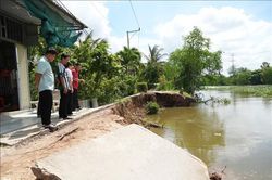 Đồng Tháp triển khai đồng bộ giải pháp phòng, chống sụt lún, sạt lở đến năm 2035