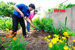 Tuổi trẻ TP Hồ Chí Minh ra quân chỉnh trang lại các khu phố dịp hè