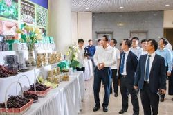 Đổi thay làng quê nhờ khoa học và công nghệ