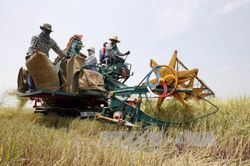 Thái Lan: 'Tiếp sức số' cho nông dân