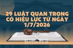 29 Luật quan trọng có hiệu lực từ ngày 1/7/2026