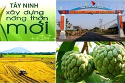 Tây Ninh tăng tốc xây dựng nông thôn mới