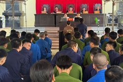 TAND khu vực 4- Cần Thơ xét xử nghiêm minh các vụ án liên quan đến ma túy