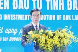 Phó Thủ tướng Phan Văn Giang: Không để tình trạng 'trên thông, dưới tắc' khi mời gọi đầu tư