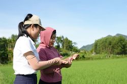Bám đồng ruộng, chủ động phòng trừ sâu bệnh