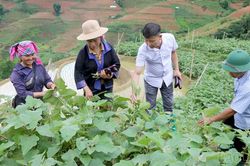 Từ '2 giờ làm nông dân' đến những mùa vụ đổi thay ở Lao Chải