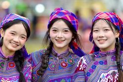 Rực rỡ những 'đóa hoa rừng'