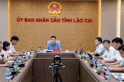 Lào Cai dự Hội nghị sơ kết 6 tháng đầu năm của Ban Chỉ đạo Nhà nước các công trình, dự án giao thông trọng điểm