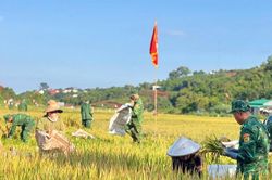 Những mùa vàng nơi biên giới