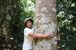Người giữ rừng bản địa