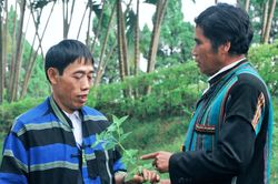 Ngược ng&agrave;n t&igrave;m thầy giỏi, thuốc hay