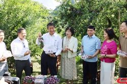 Ngoại giao kinh tế - mở rộng cơ hội phát triển