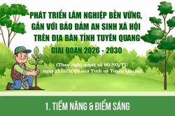 Ph&aacute;t triển l&acirc;m nghiệp bền vững, gắn với đảm bảo an sinh x&atilde; hội tr&ecirc;n địa b&agrave;n tỉnh Tuy&ecirc;n Quang, giai đoạn 2026-2030