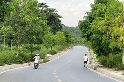 Vỉa h&egrave; đường Ph&ugrave;ng Hưng cỏ mọc um t&ugrave;m, g&acirc;y kh&oacute; cho người đi bộ