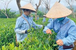 Phát huy hiệu quả cộng hưởng của các nguồn lực đầu tư phát triển