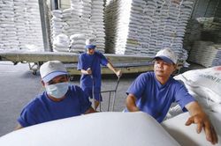 Gạo Việt gia tăng lợi thế từ sản phẩm chất lượng cao