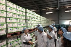 Fujiwa Việt Nam và hành trình xây dựng doanh nghiệp xanh