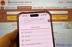 Dịch vụ công phải tự động hiển thị thông tin trước khi nộp hồ sơ