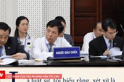 Khi văn h&oacute;a ph&aacute;p đ&igrave;nh tạo n&ecirc;n niềm tin c&ocirc;ng l&yacute;