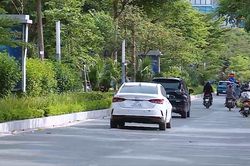 Dải phân cách xanh trên đường Lạc Long Quân