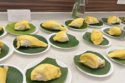 Tuần lễ Buffet sầu riêng ở Cần Thơ