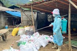 Cao Bằng: Phát hiện ổ dịch cúm gia cầm A/H5N1 tại phường Tân Giang