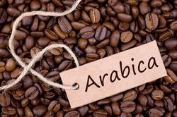 Giá cà phê hôm nay 27/6/2026: Arabica hạ nhiệt