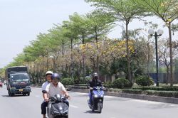 Hà Nội nắng gián đoạn, chiều tối có mưa dông