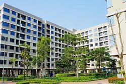 13 đối tượng được ưu ti&ecirc;n mua nh&agrave; ở x&atilde; hội từ 1/7/2026 nếu đủ điều kiện n&agrave;y