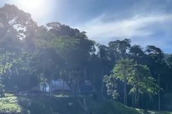 [Video] Sàn giao dịch carbon trong nước sẽ khai trương vào ngày 29/6